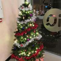 一个苹果里的人生