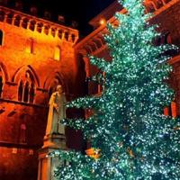 嫁给品质好的男人