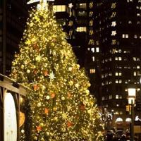 越努力就越幸运,爱情也是?