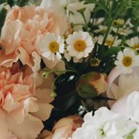 高挑人妻无奈张开腿 经典肉伦怀孕