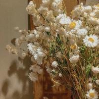 一个剩女的独白,超级爆笑网文