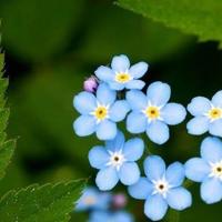 天地茫茫两相隔，唯有梦中可相逢