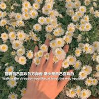 懂得欣赏自己的生活,才能让自己活得随心所欲。