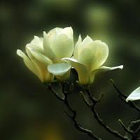 冷笑话大全没看清，生下来就跑了