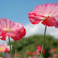 我发现能够主动来找我的就只有腾讯新闻