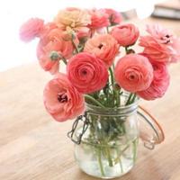 经典青春励志语录,鼓励自己的话