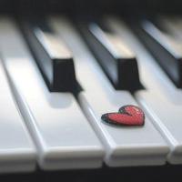 女儿是爸爸上辈子的情人