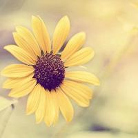 读懂自己才能读懂这个世界