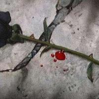 舍得，得舍，在阳光下的卑微