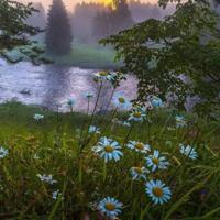 让船满载爱情起航