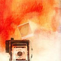 一箸槐花,满腹乡思