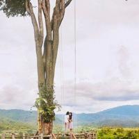 情思煮墨,润了谁