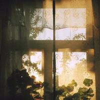 寻找遗失心中的坚强