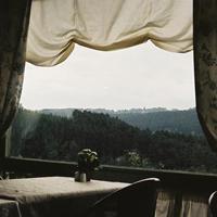 扎黄丝带的小姑娘