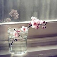 每一场失意,都是为了更好的开始