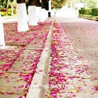 也许,不仅仅是擦肩而过