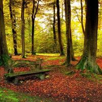 离婚了，我们还能做朋友吗？