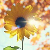 爸爸妈妈的爱情故事