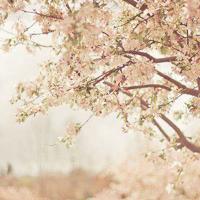 清风:清醒的人不一定快乐所以才有人喜欢喝酒