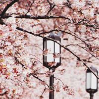 江南小雨——愁思的小雨