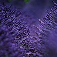 爱情面前，老人平等