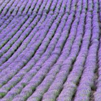 那些回不去的年少时光