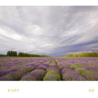 我们终将肆无忌惮地背道而行