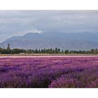 一个关于前女友的故事