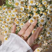 匆匆那年经典语录 匆匆那年最经典台词