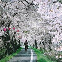 初恋,只是个美好的回忆