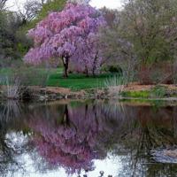 妈妈，你是我今生最深的牵挂