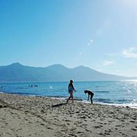 人生有一种感动，痴心的冷