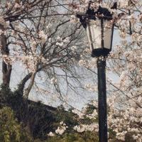 关于朋友圈励志正能量的句子说说心情