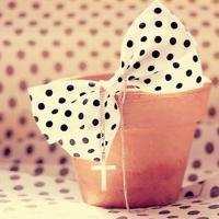 没有断不了的情,只有不死的心