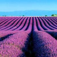 有一种美丽叫沧桑