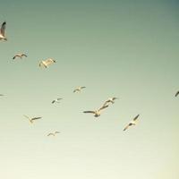 (校园爱情文章)第三个耳洞的故事