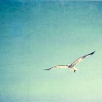 别错过人生中那些美丽的“石头”