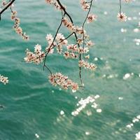 总有一条路通向地老天荒