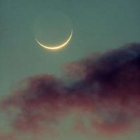 2019春分节气祝福简短微信问候大全