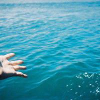 有些人可以这样“恶 ”