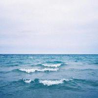 有关青春情感类的优秀句子