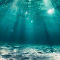 我的异乡中秋情怀