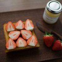 赌爱之让爱无悔