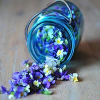 经典爱情说说 暗恋一个人的说说