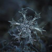 若想若做，勿迷茫