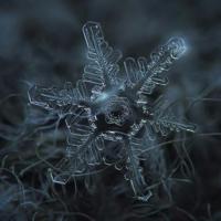 巨搞笑的大学生活糗事