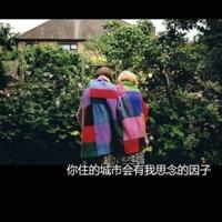 没有你的日子该怎样拼搏