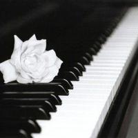 也许,不仅仅是擦肩而过