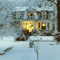 永不凋谢的记忆