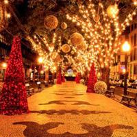 张爱玲语录经典语录,张爱玲最深情的一句话